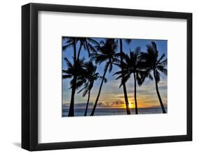 Sunset and silhouetted palm trees, Kihei, Maui, Hawaii-Darrell Gulin-Framed Photographic Print