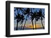 Sunset and silhouetted palm trees, Kihei, Maui, Hawaii-Darrell Gulin-Framed Photographic Print