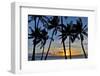 Sunset and silhouetted palm trees, Kihei, Maui, Hawaii-Darrell Gulin-Framed Photographic Print