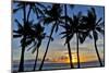 Sunset and silhouetted palm trees, Kihei, Maui, Hawaii-Darrell Gulin-Mounted Photographic Print