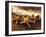 Sunset and Starfish on Surf Line, Maui, Hawaii, USA-Darrell Gulin-Framed Photographic Print