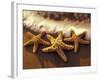 Sunset and Starfish on Surf Line, Maui, Hawaii, USA-Darrell Gulin-Framed Photographic Print