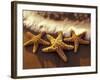 Sunset and Starfish on Surf Line, Maui, Hawaii, USA-Darrell Gulin-Framed Photographic Print