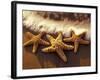 Sunset and Starfish on Surf Line, Maui, Hawaii, USA-Darrell Gulin-Framed Photographic Print