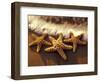 Sunset and Starfish on Surf Line, Maui, Hawaii, USA-Darrell Gulin-Framed Photographic Print