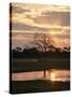 Sunset and Waterhole, Hwange National Park, Zimbabwe, Africa-Sergio Pitamitz-Stretched Canvas