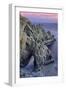 Sunset Arch at Bodega Head, Northern California Coast-Vincent James-Framed Photographic Print