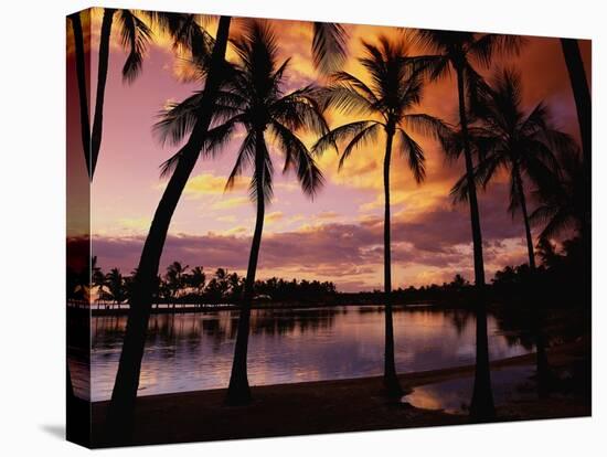 Sunset at Anaehoomalu Bay-James Randklev-Stretched Canvas