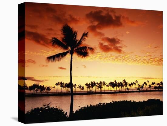 Sunset at Anaehoomalu Bay-James Randklev-Stretched Canvas