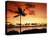 Sunset at Anaehoomalu Bay-James Randklev-Stretched Canvas