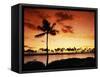 Sunset at Anaehoomalu Bay-James Randklev-Framed Stretched Canvas