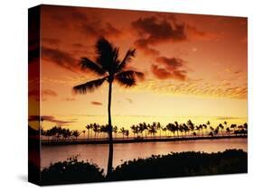 Sunset at Anaehoomalu Bay-James Randklev-Stretched Canvas