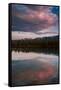 sunset at Annette Lake-Belinda Shi-Framed Stretched Canvas