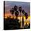 Sunset at Balboa Park in San Diego, Ca-Andrew Shoemaker-Stretched Canvas