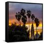 Sunset at Balboa Park in San Diego, Ca-Andrew Shoemaker-Framed Stretched Canvas