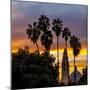 Sunset at Balboa Park in San Diego, Ca-Andrew Shoemaker-Mounted Photographic Print