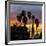 Sunset at Balboa Park in San Diego, Ca-Andrew Shoemaker-Framed Photographic Print