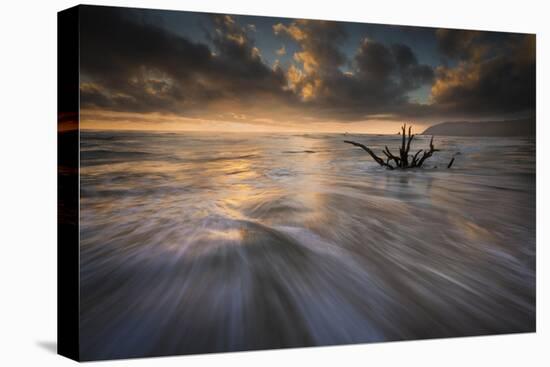 Sunset at Cannon Beach-Moises Levy-Stretched Canvas