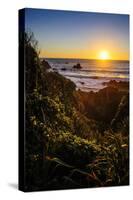 Sunset at Cape Foulwind Near Westport, West Coast, South Island, New Zealand, Pacific-Michael Runkel-Stretched Canvas