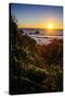 Sunset at Cape Foulwind Near Westport, West Coast, South Island, New Zealand, Pacific-Michael Runkel-Stretched Canvas