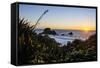 Sunset at Cape Foulwind Near Westport, West Coast, South Island, New Zealand, Pacific-Michael Runkel-Framed Stretched Canvas