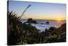 Sunset at Cape Foulwind Near Westport, West Coast, South Island, New Zealand, Pacific-Michael Runkel-Stretched Canvas