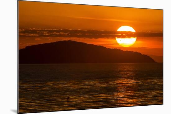 Sunset at Cape Maclear, Lake Malawi, Malawi, Africa-Michael Runkel-Mounted Photographic Print
