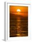 Sunset at Cape Maclear, Lake Malawi, Malawi, Africa-Michael Runkel-Framed Photographic Print