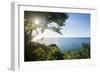 Sunset at Castara Bay in Tobago, Trinidad and Tobago, West Indies, Caribbean, Central America-Alex Treadway-Framed Photographic Print