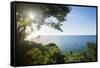 Sunset at Castara Bay in Tobago, Trinidad and Tobago, West Indies, Caribbean, Central America-Alex Treadway-Framed Stretched Canvas