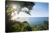 Sunset at Castara Bay in Tobago, Trinidad and Tobago, West Indies, Caribbean, Central America-Alex Treadway-Stretched Canvas