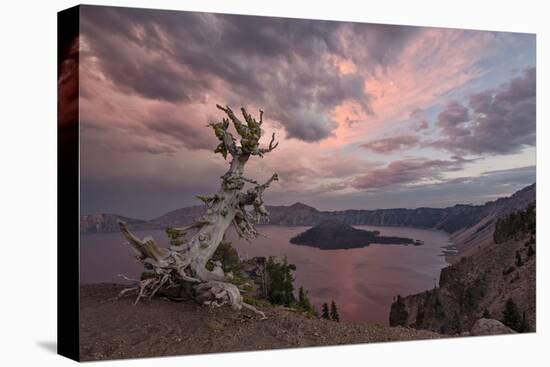 Sunset at Crater Lake with Wizard Island-James-Stretched Canvas