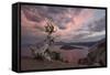 Sunset at Crater Lake with Wizard Island-James-Framed Stretched Canvas