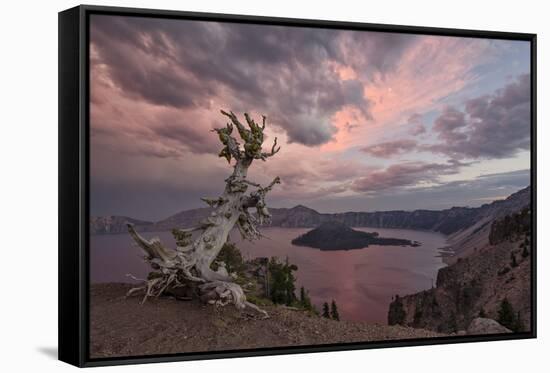 Sunset at Crater Lake with Wizard Island-James-Framed Stretched Canvas