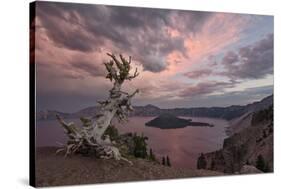 Sunset at Crater Lake with Wizard Island-James-Stretched Canvas