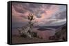 Sunset at Crater Lake with Wizard Island-James-Framed Stretched Canvas