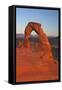Sunset at Delicate Arch, Arches National Park, Moab, Utah, United States of America, North America-Peter Barritt-Framed Stretched Canvas