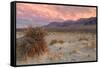 Sunset at Devil's Cornfield-Vincent James-Framed Stretched Canvas