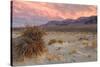 Sunset at Devil's Cornfield-Vincent James-Stretched Canvas