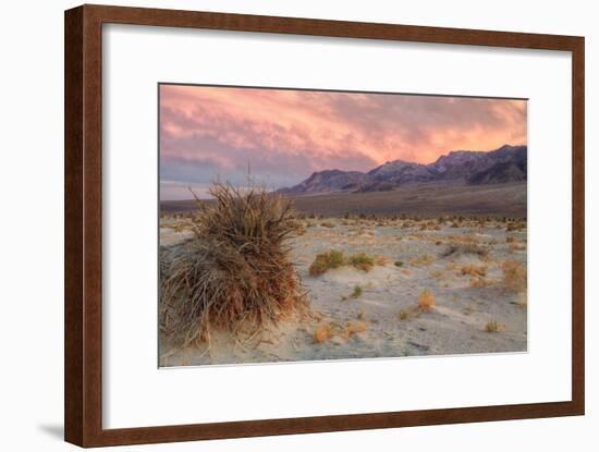 Sunset at Devil's Cornfield-Vincent James-Framed Photographic Print