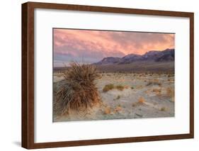 Sunset at Devil's Cornfield-Vincent James-Framed Photographic Print