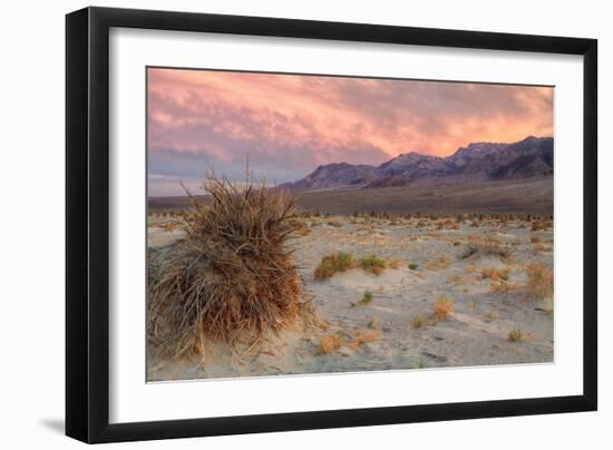 Sunset at Devil's Cornfield-Vincent James-Framed Photographic Print