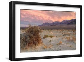 Sunset at Devil's Cornfield-Vincent James-Framed Photographic Print