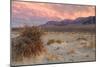 Sunset at Devil's Cornfield-Vincent James-Mounted Photographic Print