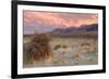 Sunset at Devil's Cornfield-Vincent James-Framed Photographic Print