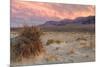 Sunset at Devil's Cornfield-Vincent James-Mounted Photographic Print