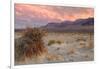 Sunset at Devil's Cornfield-Vincent James-Framed Photographic Print