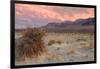 Sunset at Devil's Cornfield-Vincent James-Framed Photographic Print