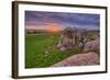 Sunset at Elephant Rock, Dillon Beach, California Coast-null-Framed Photographic Print