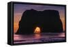 Sunset at Elephant Rock, Mendocino Coast California-Vincent James-Framed Stretched Canvas